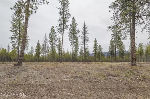L5 B1 Wallace Lane, Blanchard, ID 83804