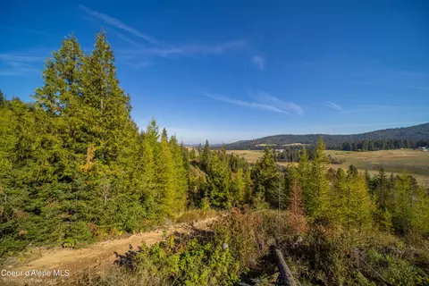 Nna Lowry, Plummer, ID 83851 photo 20