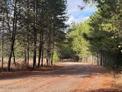 171 Bear Rd, Priest River, ID 83856
