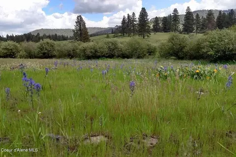 Other - 337 W Coon Creek Rd, Plummer, ID 83851 photo 14 of 23