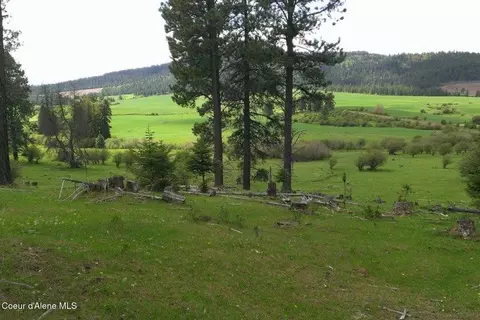 Other - 337 W Coon Creek Rd, Plummer, ID 83851 photo 15 of 23