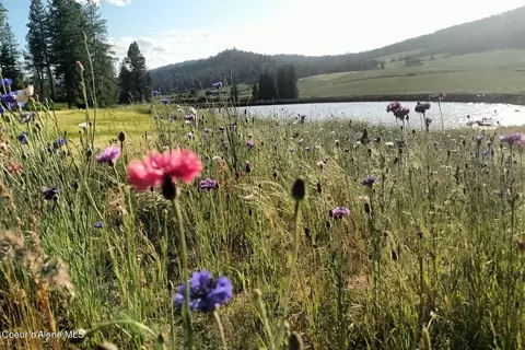 View/Area - 337 W Coon Creek Rd, Plummer, ID 83851 photo 1 of 2
