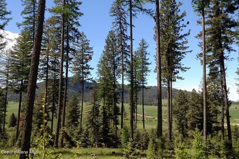 Other - 337 W Coon Creek Rd, Plummer, ID 83851 photo 17 of 23