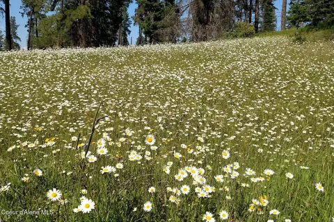 Other - 337 W Coon Creek Rd, Plummer, ID 83851 photo 10 of 23