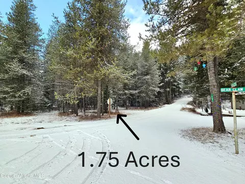 Nna Bear Claw Rd, Clark Fork, ID 83811
