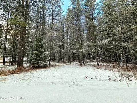 Nna Bear Claw Rd, Clark Fork, ID 83811 photo 5