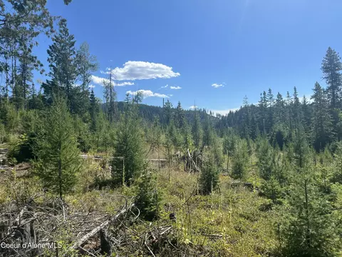 Nka Nfd 2294 Tract 1, Clark Fork, ID 83811