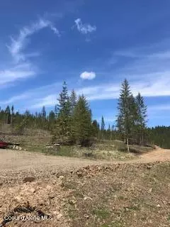 2383 2283 Stmariesriver Rd #LOT 45, Saint Maries, ID 83861