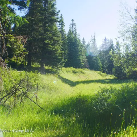 3861 Sanders Rd, Saint Maries, ID 83861