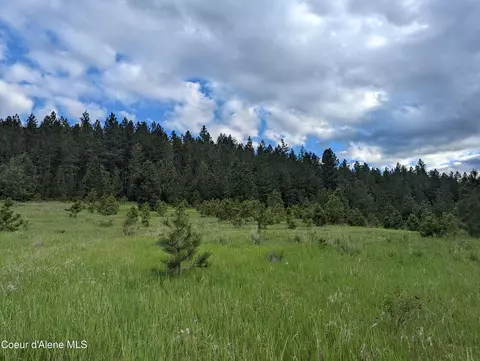 2614 Desmet Rd, De Smet, ID 83824