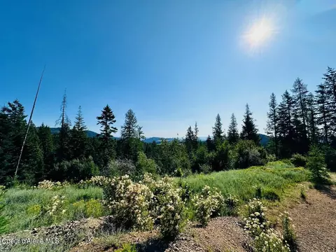 3037 Fairfield Rd, Plummer, ID 83851 photo 3