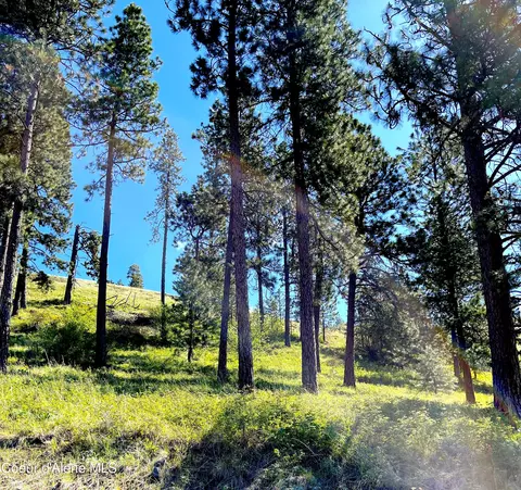 Na Bedrock Dr., Harrison, ID 83833 photo 3