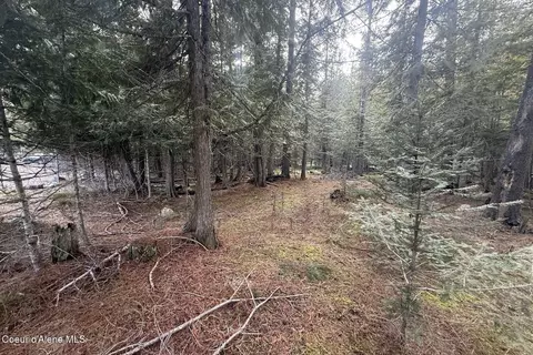366 Widgren Way, Clark Fork, ID 83811 photo 24