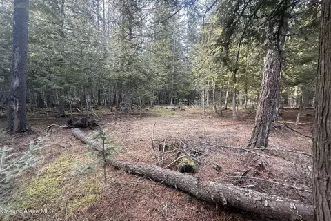 366 Widgren Way, Clark Fork, ID 83811 photo 23