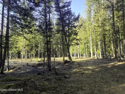 Nna E Spring Creek Road, Clark Fork, ID 83811 photo 6
