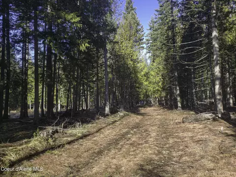 Nna E Spring Creek Road, Clark Fork, ID 83811 photo 3