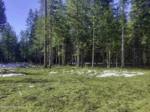 Nna E Spring Creek Road, Clark Fork, ID 83811 photo 8