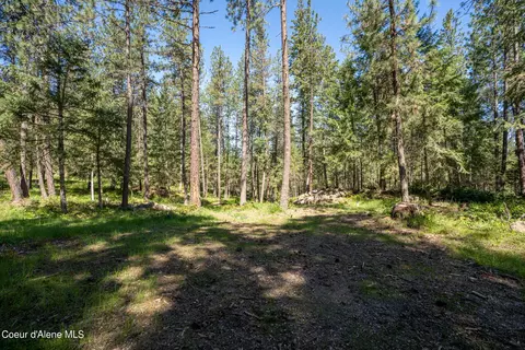 Exterior - 14709 W Riverview Dr, Post Falls, ID 83854 photo 19 of 21
