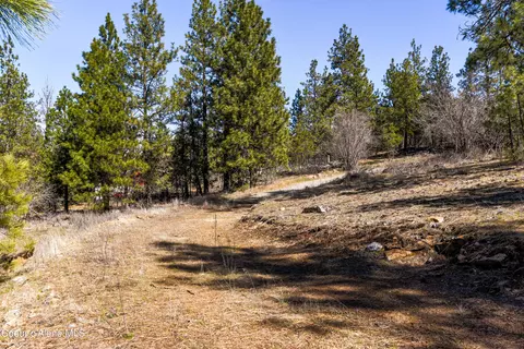 Nka S Carpenter Loop, Post Falls, ID 83854 photo 13