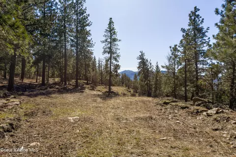 Nka S Carpenter Loop, Post Falls, ID 83854 photo 9