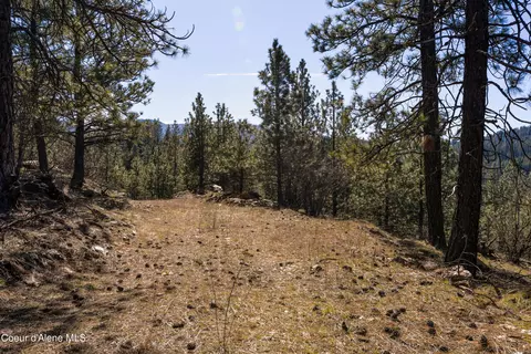 Nka S Carpenter Loop, Post Falls, ID 83854 photo 12