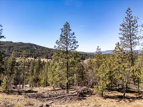 Nka S Carpenter Loop, Post Falls, ID 83854 photo 7