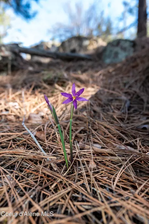 Nka S Carpenter Loop, Post Falls, ID 83854 photo 11