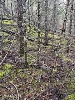 Nna Unit 1 Blk 3 Lot 9, Bayview, ID 83803