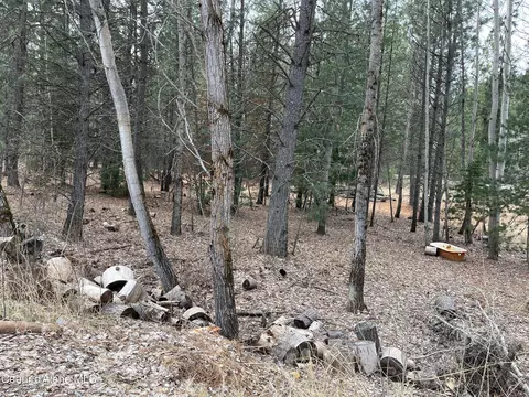 Other - 36066 Canyon, Cataldo, ID 83810 photo 7 of 7