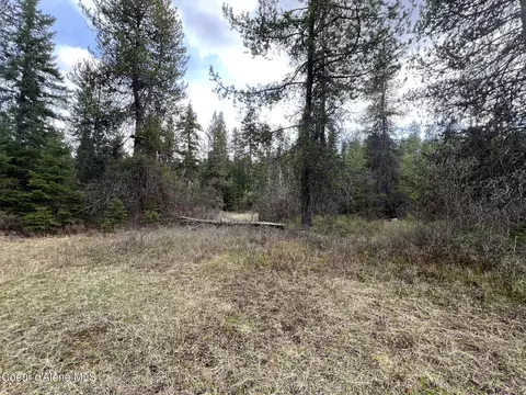 Nka Settler's Ln, Saint Maries, ID 83861