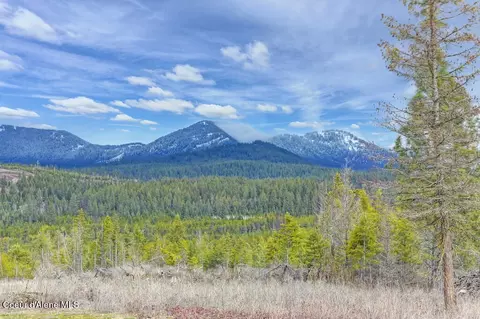 152 Trails End Rd, Athol, ID 83801 photo 2