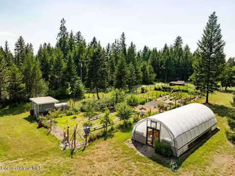 Exterior - 80897993 E Forest View Rd, Athol, ID 83801 photo 8 of 11