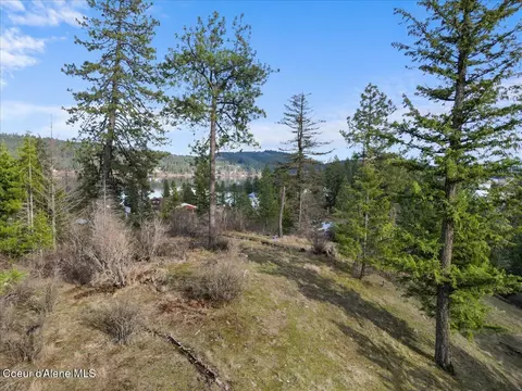 View/Area - 13687 N Hauser Lake Rd, Post Falls, ID 83854 photo 4 of 8