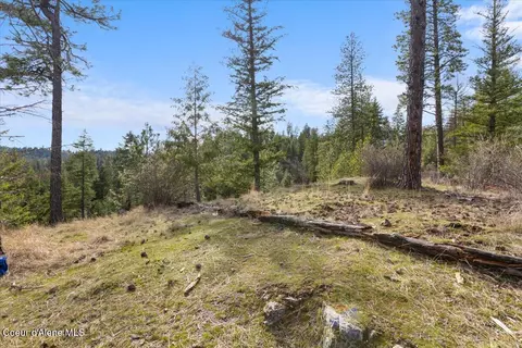 Exterior - 13687 N Hauser Lake Rd, Post Falls, ID 83854 photo 10 of 12