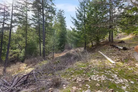 Exterior - 13687 N Hauser Lake Rd, Post Falls, ID 83854 photo 7 of 12