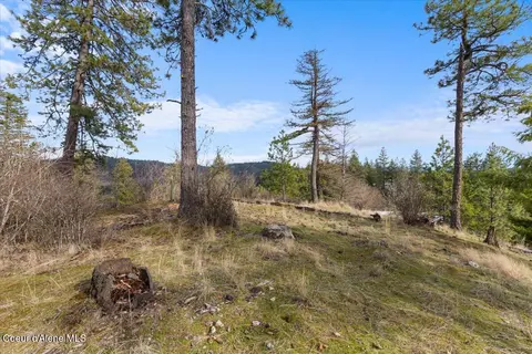 Exterior - 13687 N Hauser Lake Rd, Post Falls, ID 83854 photo 8 of 12