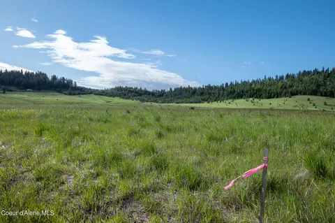 lot D Merideth Rd, Plummer, ID 83851