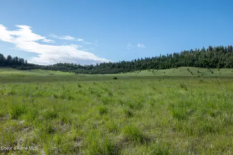 lot D Merideth Rd, Plummer, ID 83851 photo 13