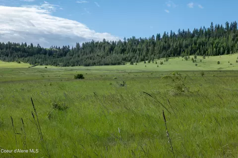 lot D Merideth Rd, Plummer, ID 83851 photo 18