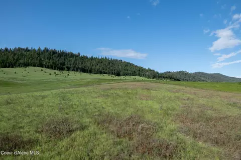 lot D Merideth Rd, Plummer, ID 83851 photo 9