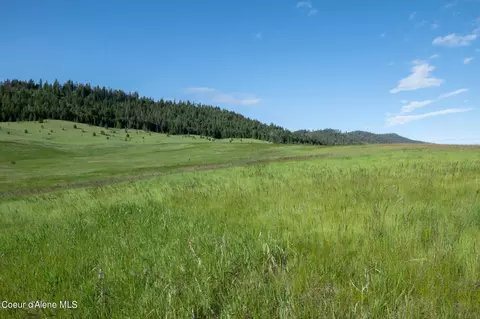 lot D Merideth Rd, Plummer, ID 83851 photo 8