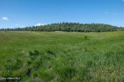 lot D Merideth Rd, Plummer, ID 83851 photo 6