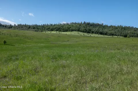 lot D Merideth Rd, Plummer, ID 83851 photo 5