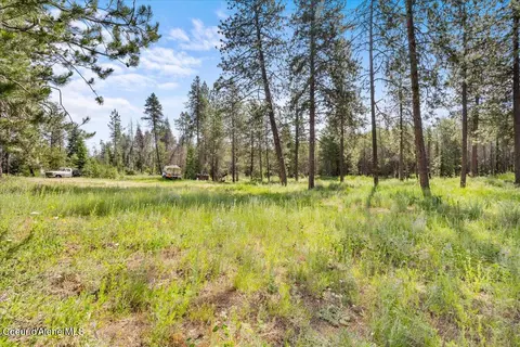 29154 N Old Highway 95, Athol, ID 83801 photo 7