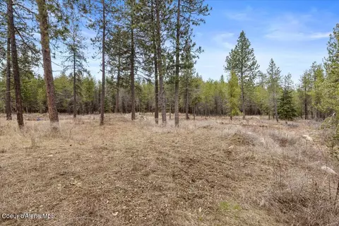 29154 N Old Highway 95, Athol, ID 83801 photo 16