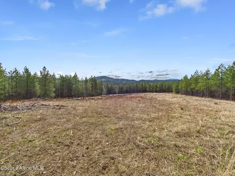 20 Acres S Hwy 3, Saint Maries, ID 83861