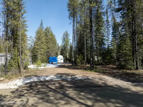 8 Williams Drive, Priest Lake, ID 83856