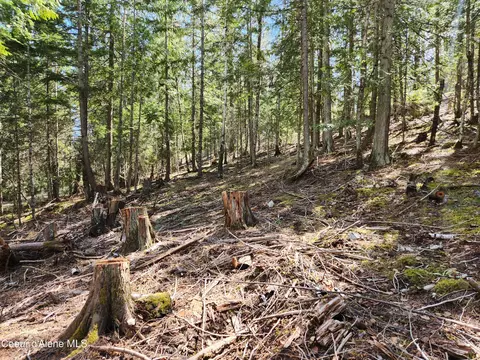 Nna E Cedar Lane, Hope, ID 83836 photo 13