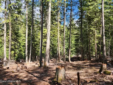 Nna E Cedar Lane, Hope, ID 83836 photo 12