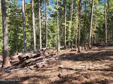Nna E Cedar Lane, Hope, ID 83836 photo 10